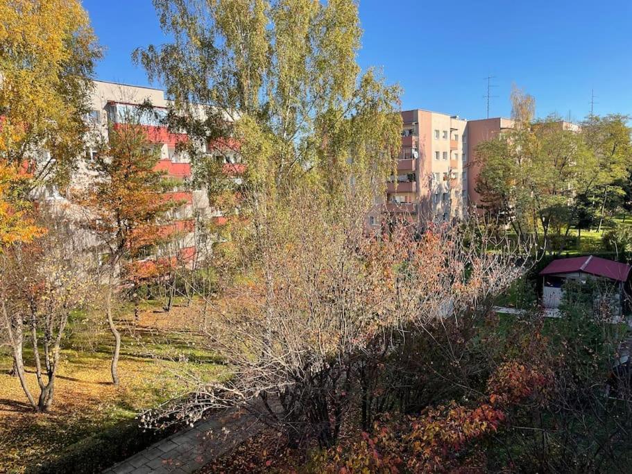 Lucky Seven Cosy 1-Bedroom Apartment, Free Parking Krakov Exteriér fotografie